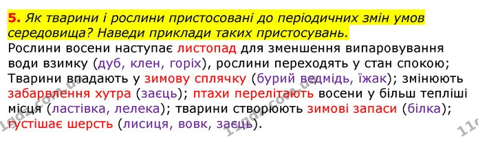 5. Як тварини і рослини пристосовані до періодичних змін умов середовища? Наведи приклади таких пристосувань. — ГДЗ Природознавство 5 клас Коршевнюк