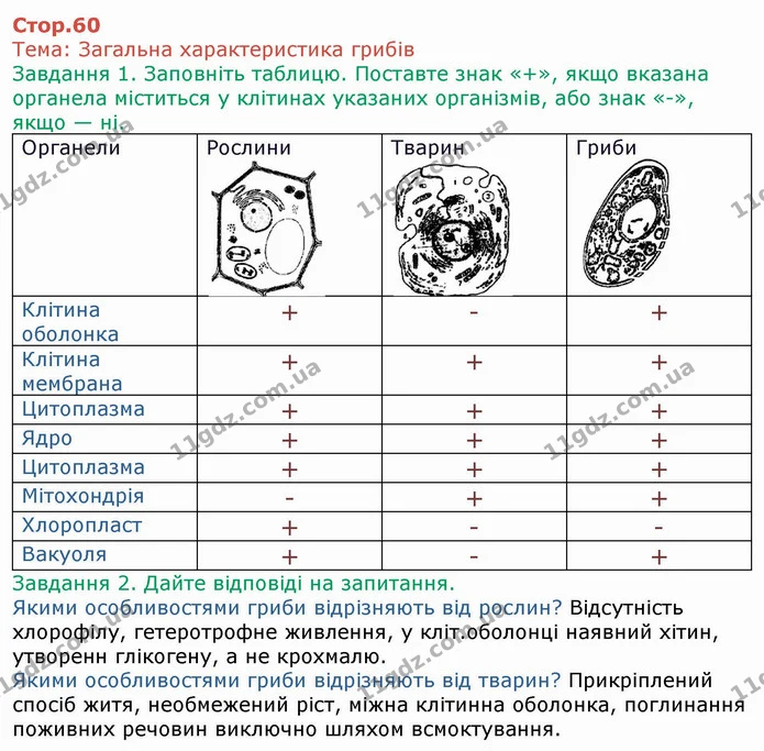 Стор. 60 — 1 — ГДЗ Робочий зошит Біологія 6 клас Мечник — ГДЗ Робочий зошит Біологія 6 клас Мечник