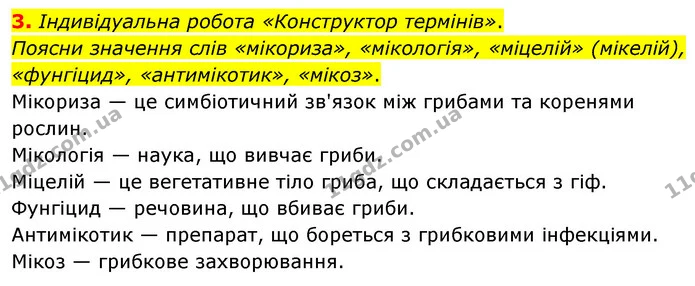 3. Індивідуальна робота «Конструктор термінів». Поясни значення слів «мікориза», «мікологія», «міцелій» (мікелій), «фунгіцид» — ГДЗ робочий зошит Біологія 7 клас Тагліна
