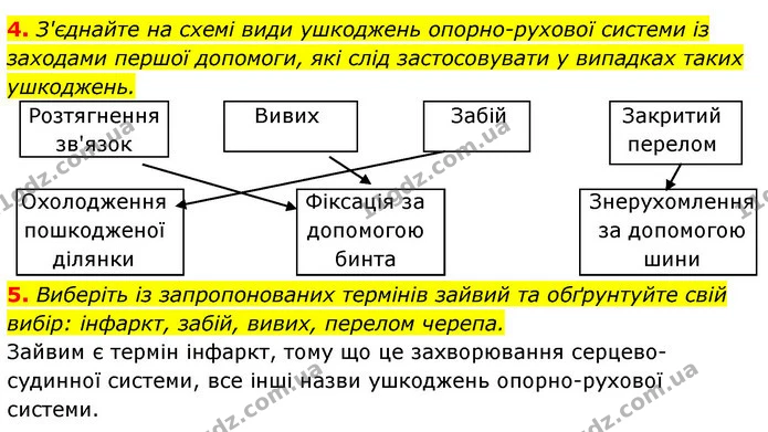 4. З'єднайте на схемі види ушкоджень опорно-рухової системи із заходами першої допомоги, які слід застосовувати у випадках таких — ГДЗ Робочий зошит Біологія 8 клас Задорожний