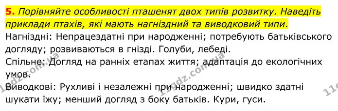 5. Порівняйте особливості пташенят двох типів розвитку. Наведіть приклади птахів, які мають нагніздний та виводковий типи. — ГДЗ робочий зошит Біологія 7 клас Кулініч