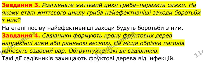 3. Розгляньте життєвий цикл гриба–паразита сажки. На якому етапі життєвого циклу гриба найефективніші заходи боротьби з ним? — ГДЗ Робочий зошит Біологія 7 клас Мирна 2024