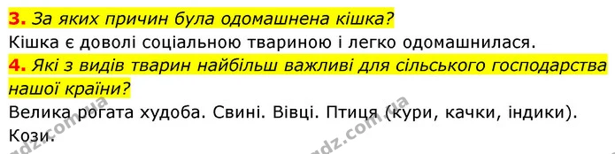 3. За яких причин була одомашнена кішка? — ГДЗ Біологія 7 клас Тагліна