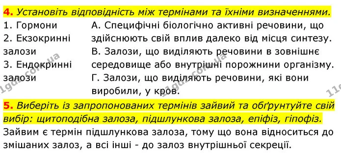 4. Установіть відповідність між термінами та їхніми визначеннями. — ГДЗ Робочий зошит Біологія 8 клас Задорожний