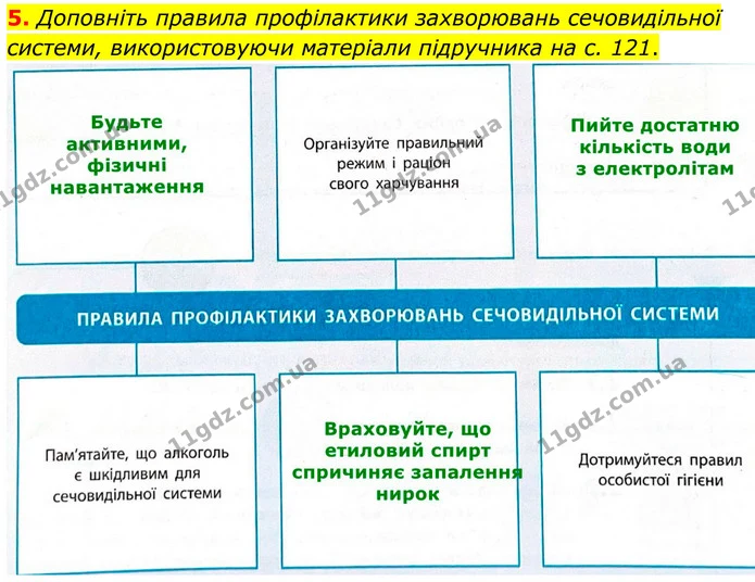 1. Позначте біля кожного правдивого твердження «+», біля хибного — «-». — частина 5 — ГДЗ Робочий зошит Біологія 8 клас Тагліна (2025)