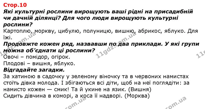 Які культурні рослини вирощують ваші рідні на присадибній чи дачній ділянці? Для чого люди вирощують культурні рослини? — ГДЗ Я досліджую світ 1 клас Гільберг