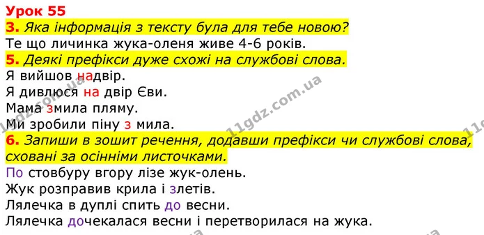 3. Яка інформація з тексту була для тебе новою? — ГДЗ Українська мова та читання 3 клас Остапенко 1-2 ч.
