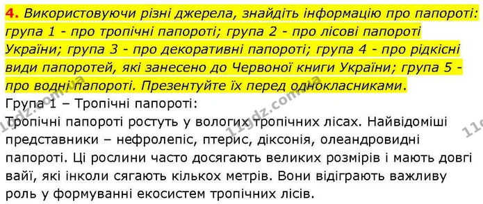 4. Використовуючи різні джерела, знайдіть інформацію про папороті: група 1 – про тропічні папороті; група 2 – про лісові папороті — ГДЗ робочий зошит Біологія 7 клас Кулініч
