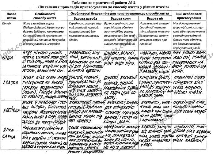Пр.2 (2-4) — ГДЗ Робочий зошит Біологія 7 клас Задорожний — ГДЗ Робочий зошит Біологія 7 клас Задорожний