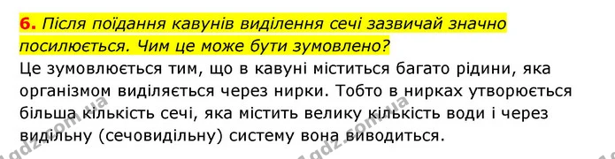 6. Після поїдання кавунів виділення сечі зазвичай значно посилюється. Чим це може бути зумовлено? — ГДЗ Робочий зошит Біологія 8 клас Задорожний