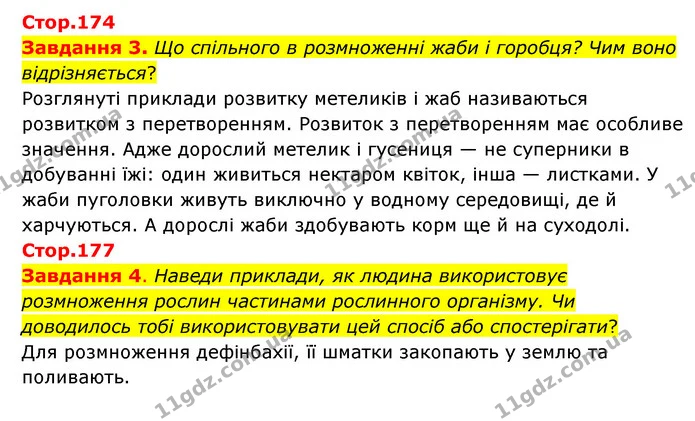 Стор. 174 — Стр.174-177 (3-4) — ГДЗ Пізнаємо природу 6 клас Коршевнюк — ГДЗ Пізнаємо природу 6 клас Коршевнюк