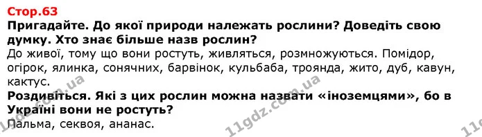 Пригадайте. До якої природи належать рослини? Доведіть свою думку. Хто знає більше назв рослин? — Решебник Я досліджую світ 1 клас Грущинська