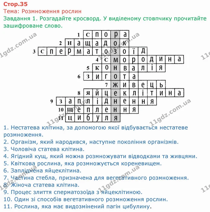 Стор. 35 — 1 — ГДЗ Робочий зошит Біологія 6 клас Мечник — ГДЗ Робочий зошит Біологія 6 клас Мечник