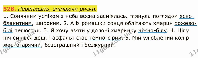 528. Перепишіть, знімаючи риски. — ГДЗ Українська мова 6 клас Глазова