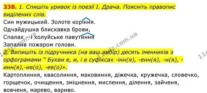 338. 1. Спишіть уривок із поезії І. Драча. Поясніть правопис виділених слів. — ГДЗ Відповіді Українська мова 6 клас Єрмоленко