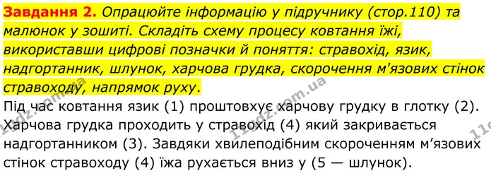 Стор. 56 — 2 — ГДЗ Робочий зошит біологія 8 клас Мирна — ГДЗ Робочий зошит біологія 8 клас Мирна