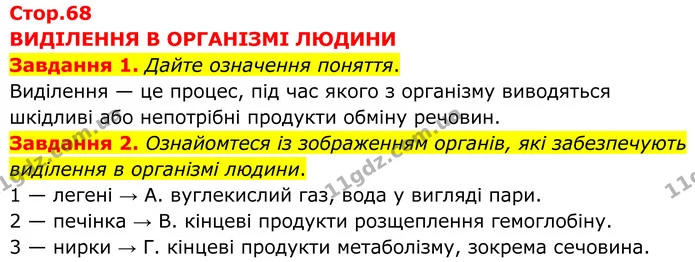 Стор. 68 — 1-2 — ГДЗ робочий зошит Біологія 8 клас Андерсон — ГДЗ робочий зошит Біологія 8 клас Андерсон