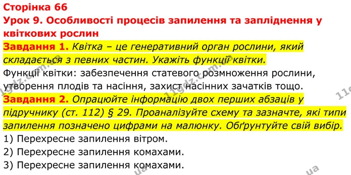 1. Квітка – це генеративний орган рослини, який складається з певних частин. Укажіть функції квітки. — ГДЗ Робочий зошит Біологія 7 клас Мирна 2024