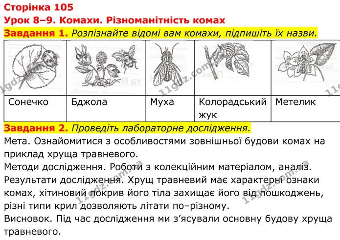 1. Розпізнайте відомі вам комахи, підпишіть їх назви. — ГДЗ Робочий зошит Біологія 7 клас Мирна 2024