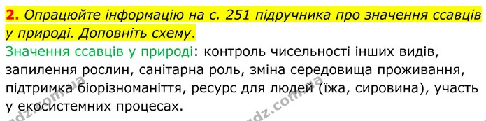 2. Опрацюйте інформацію на с. 251 підручника про значення ссавців у природі. Доповніть схему. — ГДЗ робочий зошит Біологія 7 клас Кулініч
