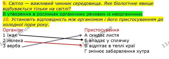 9. Світло — важливий чинник середовища. Яке біологічне явище відбувається тільки на світлі? — ГДЗ Природознавство 5 клас Ярошенко