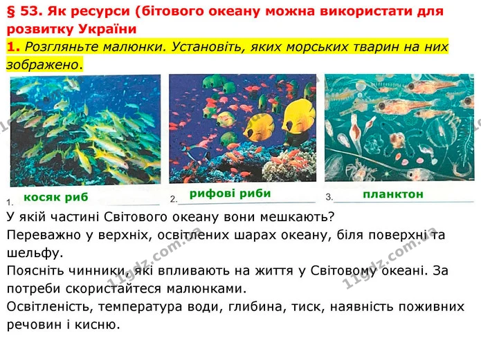 1. Розгляньте малюнки. Установіть, яких морських тварин на них зображено. — ГДЗ Зошит практичні Географія 8 клас Гільберг
