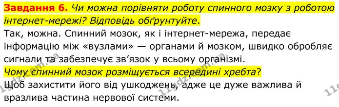 Стор. 20 — 6 — ГДЗ Робочий зошит біологія 8 клас Мирна — ГДЗ Робочий зошит біологія 8 клас Мирна