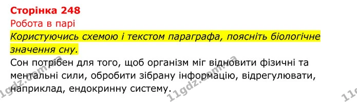 Стор. 248 — 1 — ГДЗ Біологія 8 клас Тагліна — ГДЗ Біологія 8 клас Тагліна