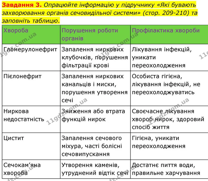 Стор. 96 — 3 — ГДЗ Робочий зошит біологія 8 клас Мирна — ГДЗ Робочий зошит біологія 8 клас Мирна