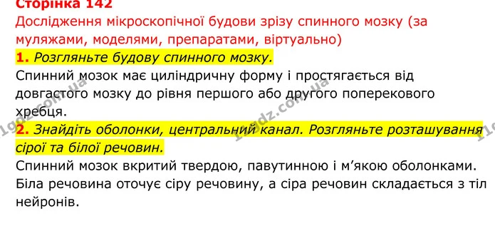 Стор. 142 — 1 — ГДЗ Біологія 8 клас Тагліна — ГДЗ Біологія 8 клас Тагліна
