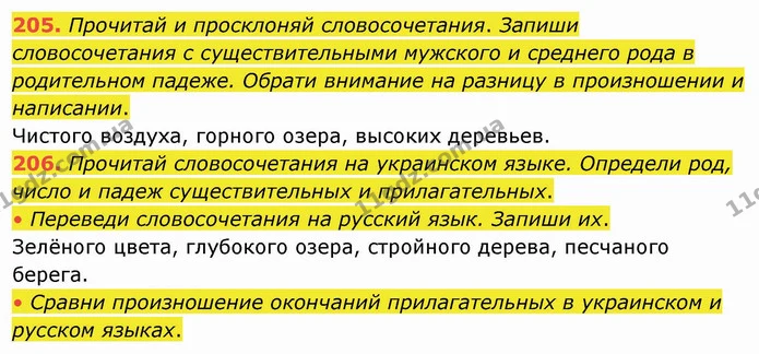 205. Прочитай и просклоняй словосочетания. Запиши словосочетания с существительными мужского и среднего рода в родительном падеже — ГДЗ Русский язык и чтение 4 класс Лапшина 1 ч.