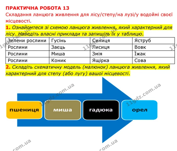 Пр.13 (1-2) — ГДЗ Зошит практични Географія 6 клас Стадник — ГДЗ Зошит практични Географія 6 клас Стадник