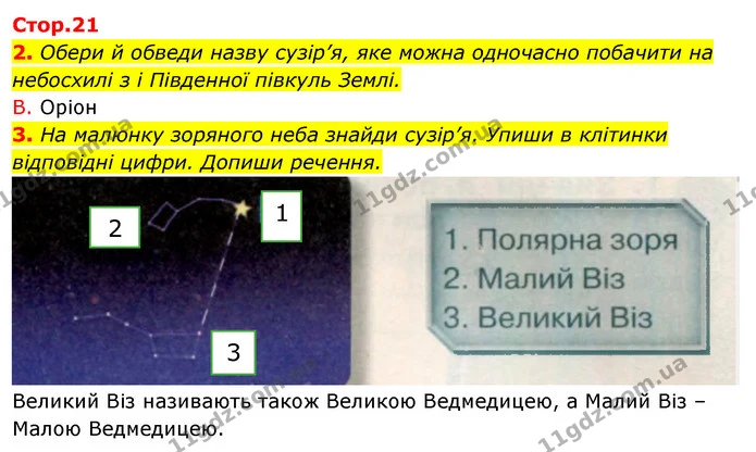 2. Обери й обведи назву сузір’я, яке можна одночасно побачити на небосхилі з і Південної півкуль Землі. — ГДЗ Робочий зошит Я досліджую світ 4 клас Грущинська