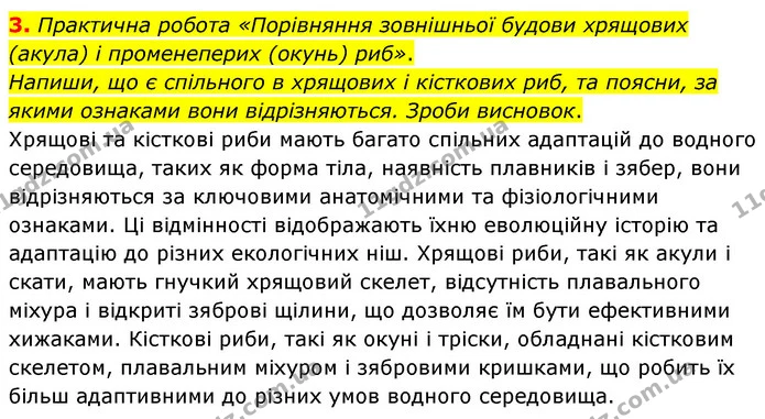 3. Практична робота «Порівняння зовнішньої будови хрящових (акула) і променеперих (окунь) риб». Напиши, що є спільного в хрящових і — ГДЗ робочий зошит Біологія 7 клас Тагліна