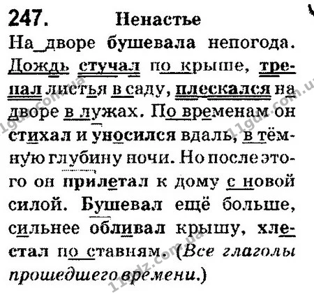 247 — ГДЗ Русский язык 4 класс Сильнова, Каневская 2015
