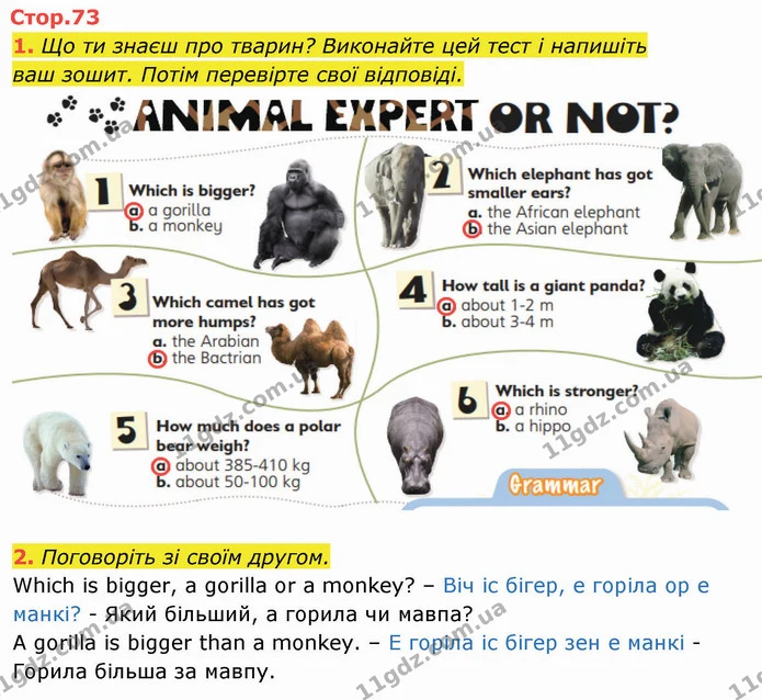1. Що ти знаєш про тварин? Виконайте цей тест і напишіть — ГДЗ Англійська мова 4 клас Мітчелл 2026
