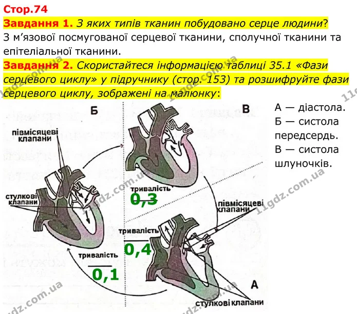 Стор. 74 — 1-2 — ГДЗ Робочий зошит біологія 8 клас Мирна — ГДЗ Робочий зошит біологія 8 клас Мирна