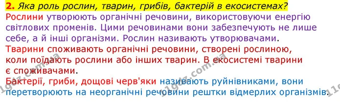 2. Яка роль рослин, тварин, грибів, бактерій в екосистемах? — ГДЗ Природознавство 5 клас Коршевнюк