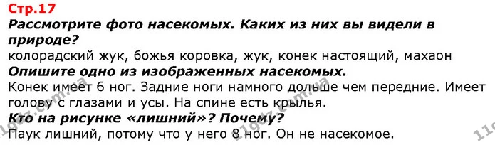 Рассмотрите фото насекомых. Каких из них вы видели в природе? — ГДЗ Я исследую мир 1 класс Гильберг