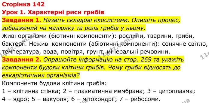 1. Назвіть складові екосистеми. Опишіть процес, зображений на малюнку та роль грибів у ньому. — ГДЗ Робочий зошит Біологія 7 клас Мирна 2024
