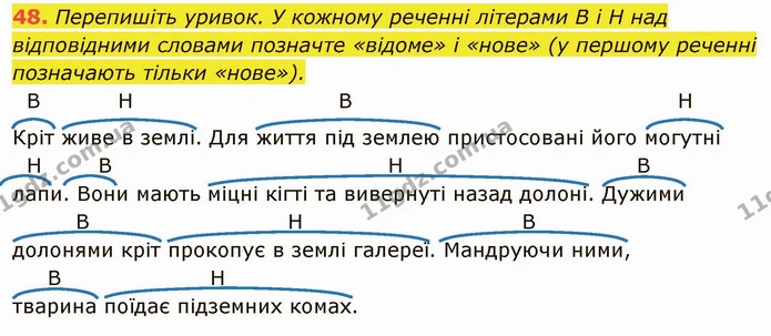 48. Перепишіть уривок. У кожному реченні літерами В і Н над відповідними словами позначте «відоме» і «нове» (у першому реченні — ГДЗ Українська мова 6 клас Глазова