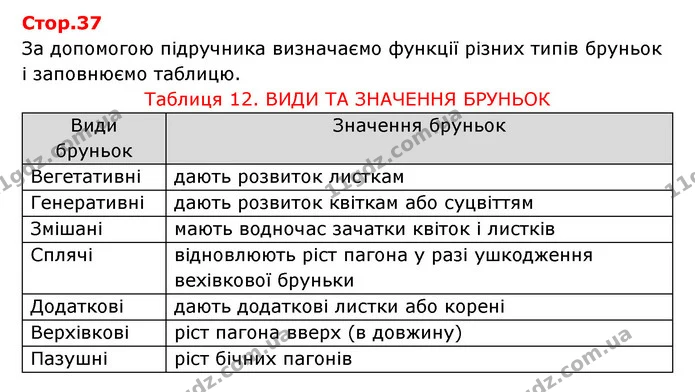 Стор. 37 — 1 — ГДЗ Робочий зошит Біологія 6 клас Соболь — ГДЗ Робочий зошит Біологія 6 клас Соболь