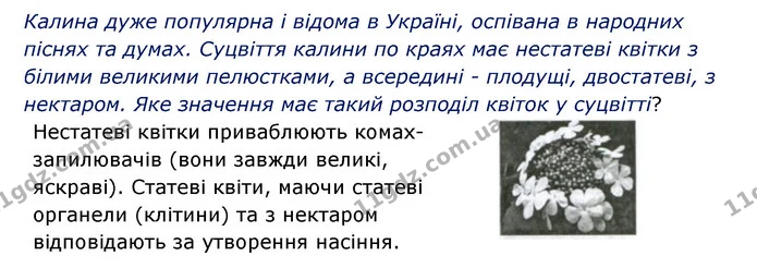 Стор. 55 — 3 — ГДЗ Робочий зошит Біологія 6 клас Соболь — ГДЗ Робочий зошит Біологія 6 клас Соболь