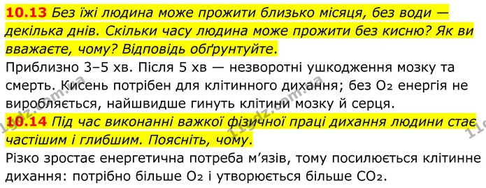 10.13 Без їжі людина може прожити близько місяця, без води — декілька днів. Скільки часу людина може прожити без кисню? Як ви вважаєте — ГДЗ Робочий зошит Хімія 8 клас Григорович
