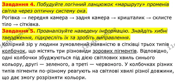 Стор. 104 — 4-5 — ГДЗ Робочий зошит біологія 8 клас Мирна — ГДЗ Робочий зошит біологія 8 клас Мирна
