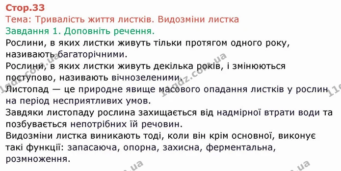 Стор. 33 — 1 — ГДЗ Робочий зошит Біологія 6 клас Мечник — ГДЗ Робочий зошит Біологія 6 клас Мечник
