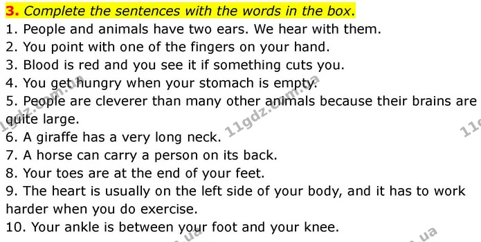 3. Complete the sentences with the words in the box. — ГДЗ робочий зошит Англійська мова 7 клас Prepare