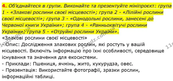 4. Об’єднайтеся в групи. Виконайте та презентуйте мініпроєкт: група 1 – «Злакові рослини своєї місцевості»; група 2 – «Лілійні рослини — ГДЗ робочий зошит Біологія 7 клас Кулініч
