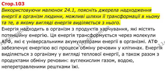 Використовуючи малюнок 24.1, поясніть джерела надходження енергії в організм людини, можливі шляхи її трансформації в ньому та те, в — ГДЗ Біологія 8 клас Балан