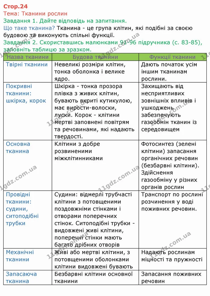 Стор. 24 — 1-2 — ГДЗ Робочий зошит Біологія 6 клас Мечник — ГДЗ Робочий зошит Біологія 6 клас Мечник